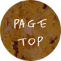 pagetop